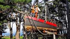 Une femme réalise son rêve d’enfant en construisant une incroyable cabane en forme de bateau de pirate
