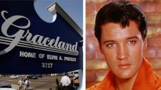 Le manoir Graceland d’Elvis Presley a été défiguré par des slogans anti-police et « Black Lives Matter »