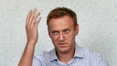 La police russe veut interroger Navalny en Allemagne