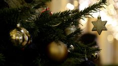 Le nouveau maire écologiste de Bordeaux veut supprimer le sapin de Noël qu’il accuse d’être « un arbre mort »