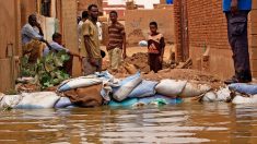 Au Soudan, sur l’île de Tuti, des sacs de sable face aux débordements du Nil