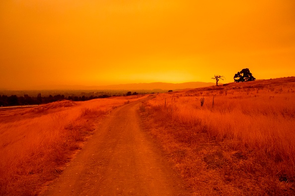 -Des sentiers de randonnée sous un ciel orange rempli de fumée de feu de forêt sont vus à Concord, en Californie, le 9 septembre 2020. Photo par Brittany Hosea-Small / AFP via Getty Images.