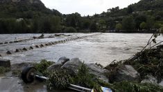 Déluge du Gard : « J’ai pu sauver 24 brebis sur 283 », témoigne le berger qui a pris le risque de se mettre à l’eau