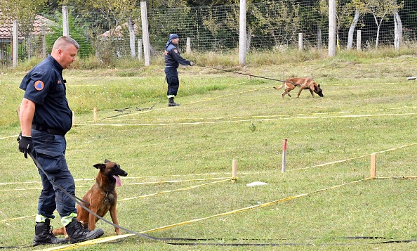 -Un centre de formation pour des chiens détecteurs de mines près de la ville bosniaque de Konjic, le 20 septembre 2020. Photo par Elvis Barukcic / AFP via Getty Images.