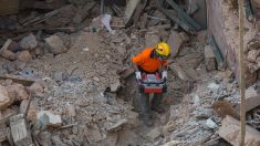 A Beyrouth, poursuite des recherches dans un quartier sinistré, possible survivant