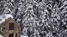 Pyrénées-Orientales : un épisode neigeux avec des cumuls pas vus depuis 15 ans