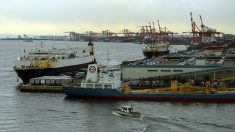 Japon: recherches désespérées pour retrouver l’équipage d’un cargo naufragé