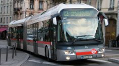 Lyon : injurié et agressé dans son bus, un chauffeur se défend et se fait licencier