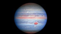 Le télescope spatial Hubble révèle de nouvelles images des tempêtes et des « taches » de Jupiter