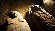 13 mystérieuses momies découvertes dans un puits égyptien