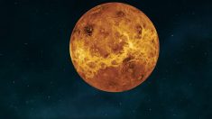 L’Agence spatiale russe annonce que Vénus est une « planète russe » et relance son exploration