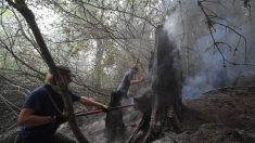 Les voisins font équipe avec les pompiers pour protéger leur propre maison des incendies en Orégon