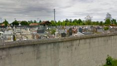 Landes : dégradations d’un cimetière et d’une école, deux enfants de 10 et 12 ans arrêtés