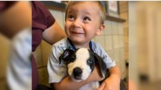 Un enfant né avec une fente labiale adopte un chiot dans le même état dans un refuge du Michigan