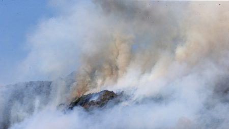 Nouvelle-Zélande: un village dévasté par un feu de forêt