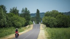 Un Breton fait le tour de France à vélo pour ramasser les masques jetés sur le bord des routes