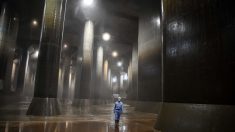Le « Parthénon » souterrain qui protège Tokyo des inondations
