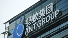 Ant Group, la fourmi qui a fait son trou dans la caverne d’Alibaba