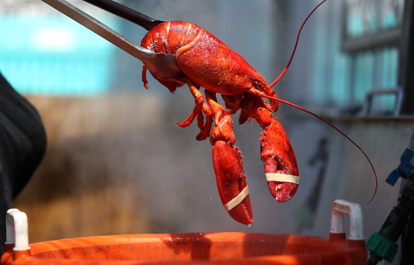 -Illustration-La Nouvelle-Ecosse, région productrice de homards, est depuis un mois le théâtre de tensions entre des pêcheurs autochtones et non autochtones. Photo par Justin Sullivan / Getty Images.
