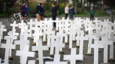 Suicide des agriculteurs : un Breton leur rend hommage en installant 600 croix blanches à Sainte-Anne-d’Auray