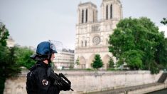 Attaque au marteau à Notre-Dame : 28 ans de prison pour l’assaillant