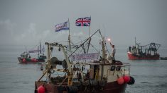 Les eaux britanniques, si riches en poissons