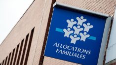 Avignon : un Algérien fait de fausses déclarations et perçoit plus de 40 000 euros d’allocations familiales pendant 3 ans