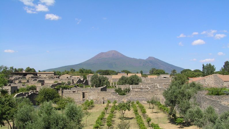 Pompéi : terre fertile au pied du Vésuve/Wikipedia