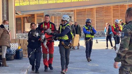 Tempête Alex : un des loups errants du parc Alpha dans les Alpes-Maritimes a été retrouvé et capturé