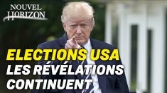 Nouvel Horizon – Élections USA : soutiens et révélations pour Trump