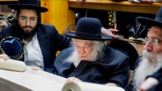 En Israël, le « Prince de la Torah », rabbin controversé face au coronavirus