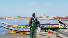 Sénégal: le mystère persiste sur la maladie de peau des pêcheurs