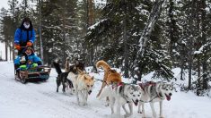 Covid: pas question de fermer les stations de ski, dit la Finlande
