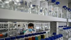 Virus: le Brésil suspend ses essais de vaccin chinois  après un « incident grave »