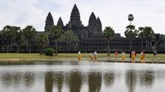 Les jardiniers-acrobates d’Angkor à la rescousse des merveilles khmères