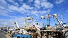 Les pêcheurs siciliens bravent la météo, la mer et la menace des geôles libyennes