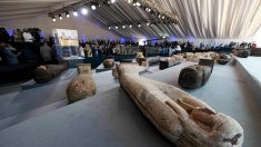 Egypte: découverte de plus de cent sarcophages intacts, un « trésor »