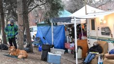 A Montréal, un campement inédit de personnes sans-abri s’organise avant l’hiver