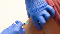 Coronavirus : le Brésil suspend ses essais de vaccin chinois après un « incident grave »