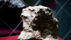 Une météorite extrêmement rare valant 1,8 million de dollars tombe sur son toit