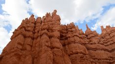 Etats-Unis: disparition du mystérieux « monolithe » de métal dans le désert