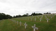 Villeurbanne : sans permis de conduire, il entame un rodéo dans un cimetière militaire pendant la nuit