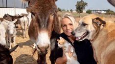 Une femme britannique dirige un sanctuaire en Israël pour sauver des ânes de trait maltraités