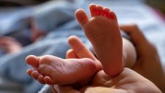 Marseille : un nouveau-né sans identité depuis un mois à cause du coronavirus