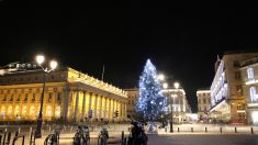 « Puisque Bordeaux refuse son sapin, il restera en Corrèze ! » déclare le maire de Malemort