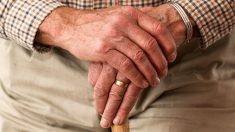 Moselle : la préfecture affirme à un retraité de 93 ans qu’il est décédé et refuse de refaire ses papiers