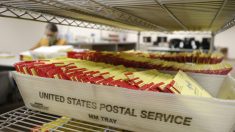 Un travailleur du service postal américain inculpé pour vol de bulletins de vote après avoir été arrêté à la frontière canadienne