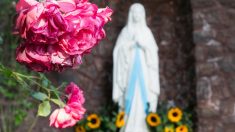 Tarn-et-Garonne : une statue de la Vierge Marie retrouvée décapitée dans une petite ville de campagne