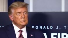 Trump affirme qu’il ne cédera jamais face aux « faux bulletins de vote et à Dominion »