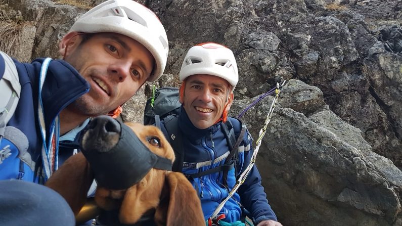 Le chien de chasse s’est retrouvé coincé sur une paroi rocheuse en poursuivant un sanglier pendant une battue. Crédit : Gendarmerie des Hautes-Pyrénées. 